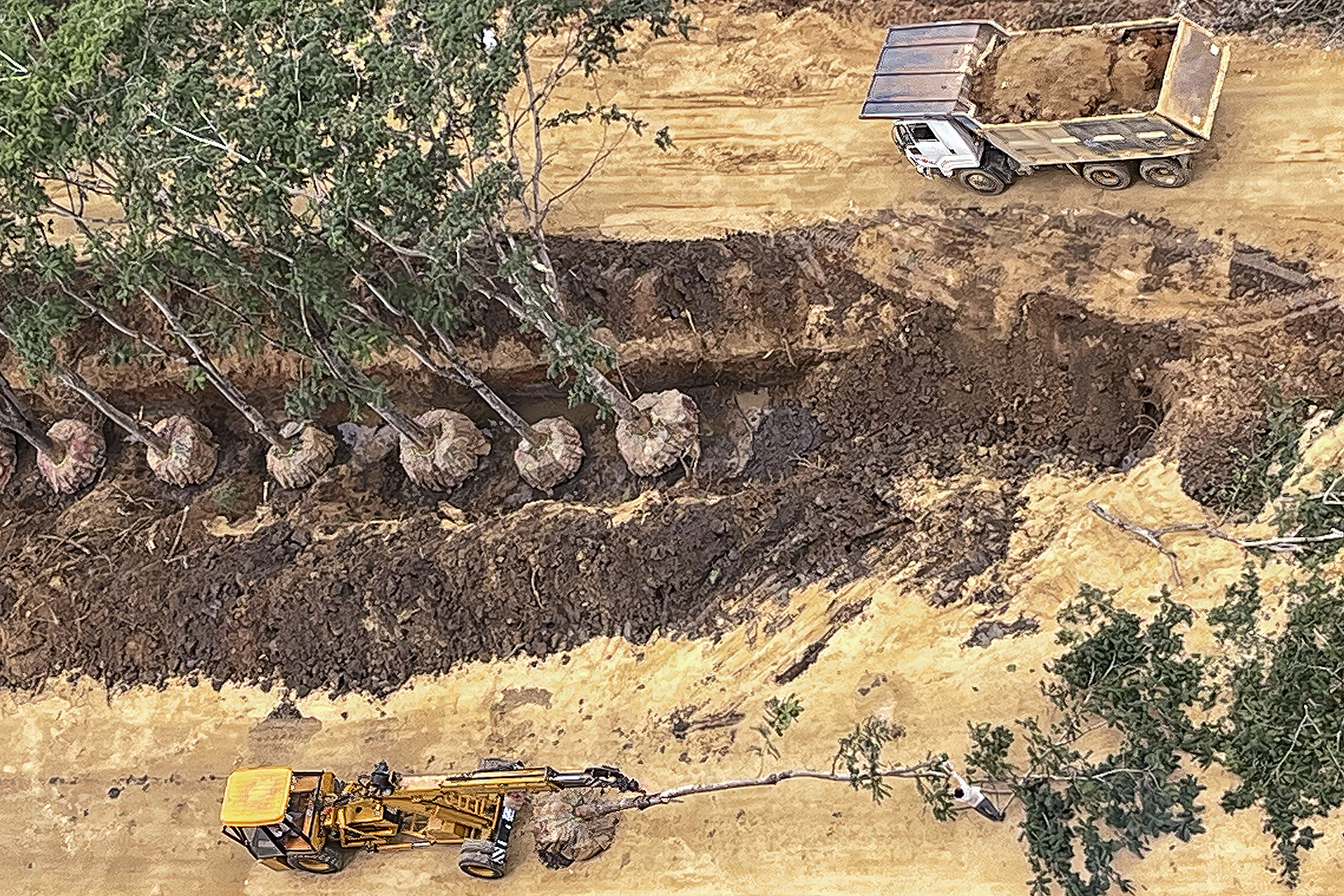 644 | Hyderabad 2024